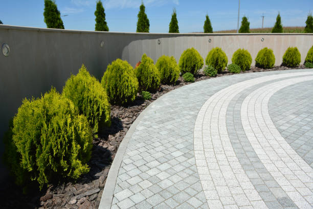 Best Driveway Paving Near Me  in Georgetown, CT